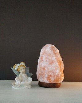 Zoutlamp 3,8 kg
