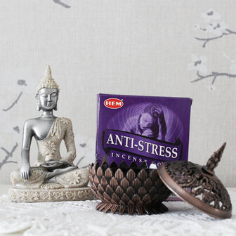 Anti Stress set: cones, Boeddha, brander