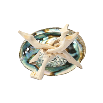 abalone schelp