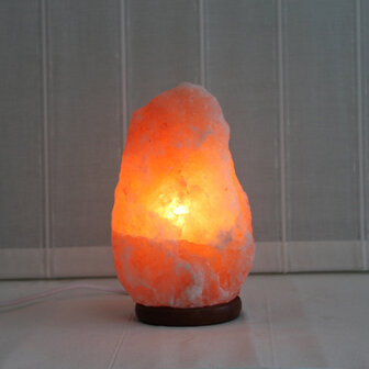 Zoutlamp 4,5 kg