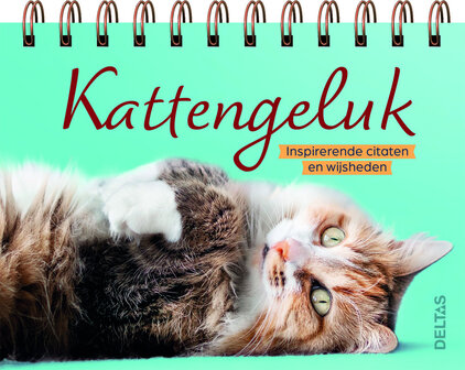 &#039;Kattengeluk&#039; tafelzetter