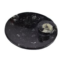 Goniatiet schaal 11 cm