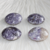 Lepidoliet steen Ø 4 cm rond