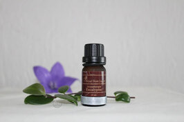 Eucalyptus olie 10 ml