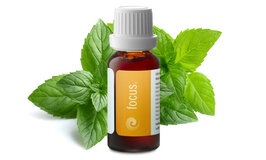 Focus druppels 20 ml