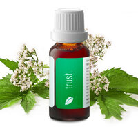 Trust druppels 20 ml