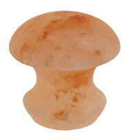 Paddestoel zoutsteen