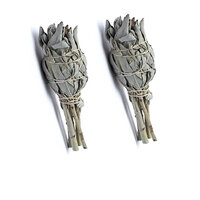 Salie Tulp Stick - 2 st.